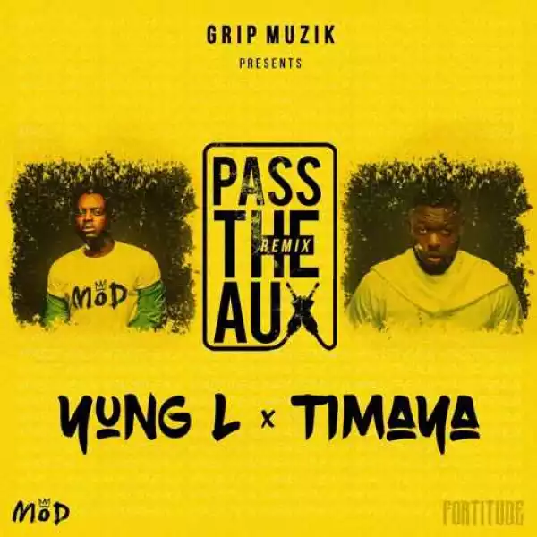 Yung L - Pass The Aux (Remix) ft. Timaya